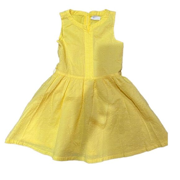 Crazy 8 Little Girl sleeveless Dress - Picture 3 of 11
